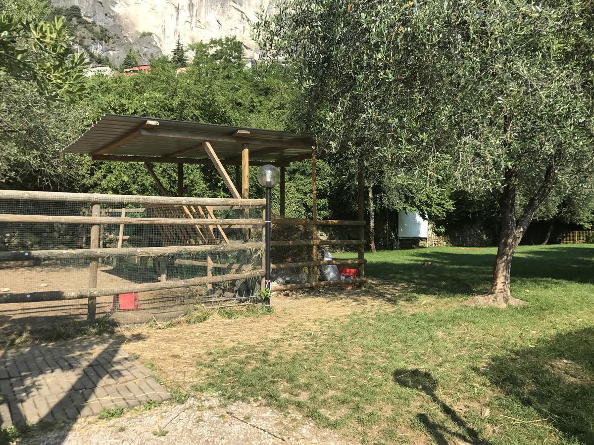 Bike La Fattoria *