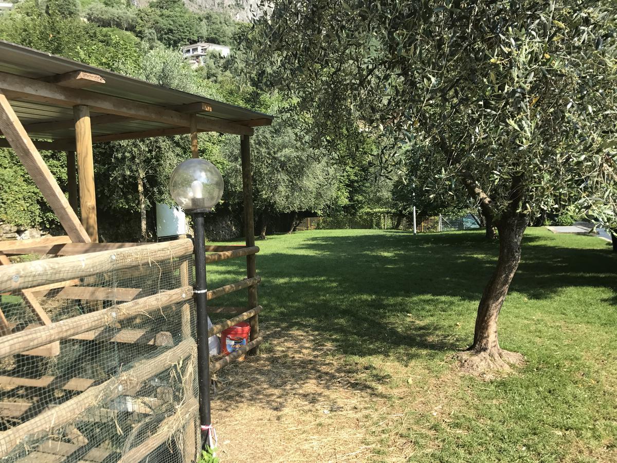 Bike La Fattoria Bed & Breakfast *